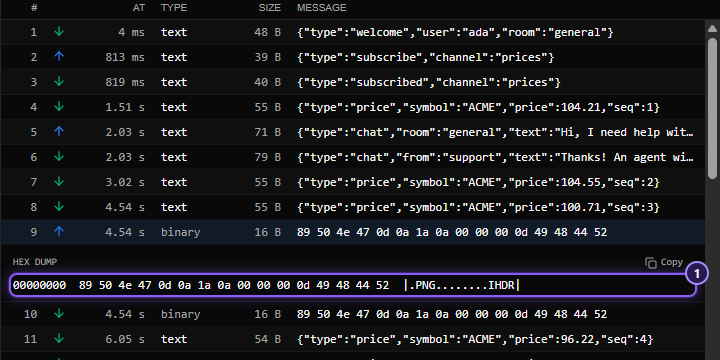 An expanded binary message in the Messages tab, showing a hex dump with an offset, hexadecimal bytes and printable characters, here the start of a PNG file.